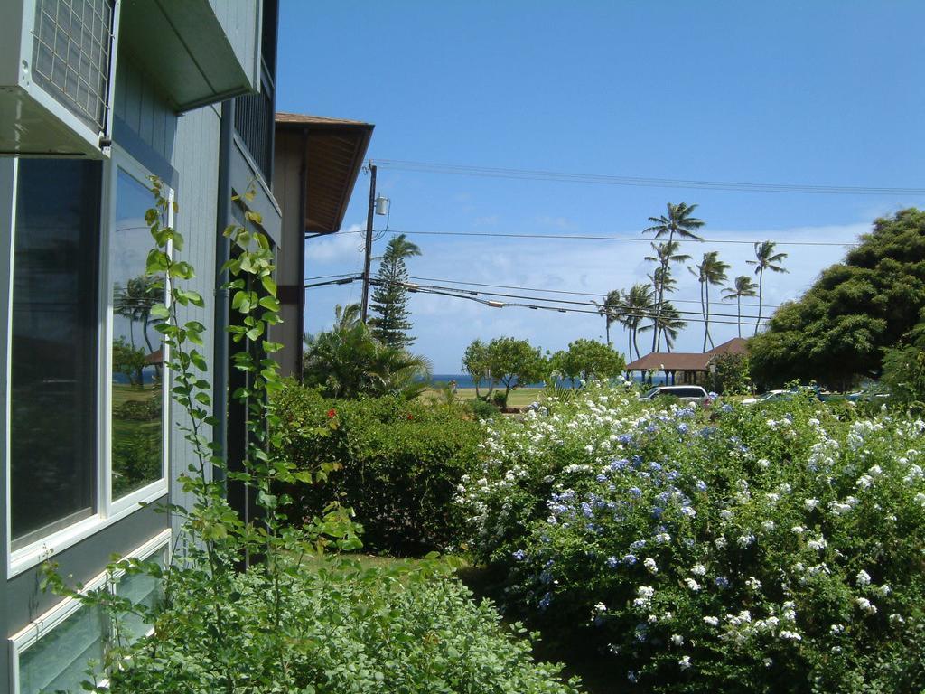 Hale Pua Villa - Seaside Studio Koloa Exterior photo